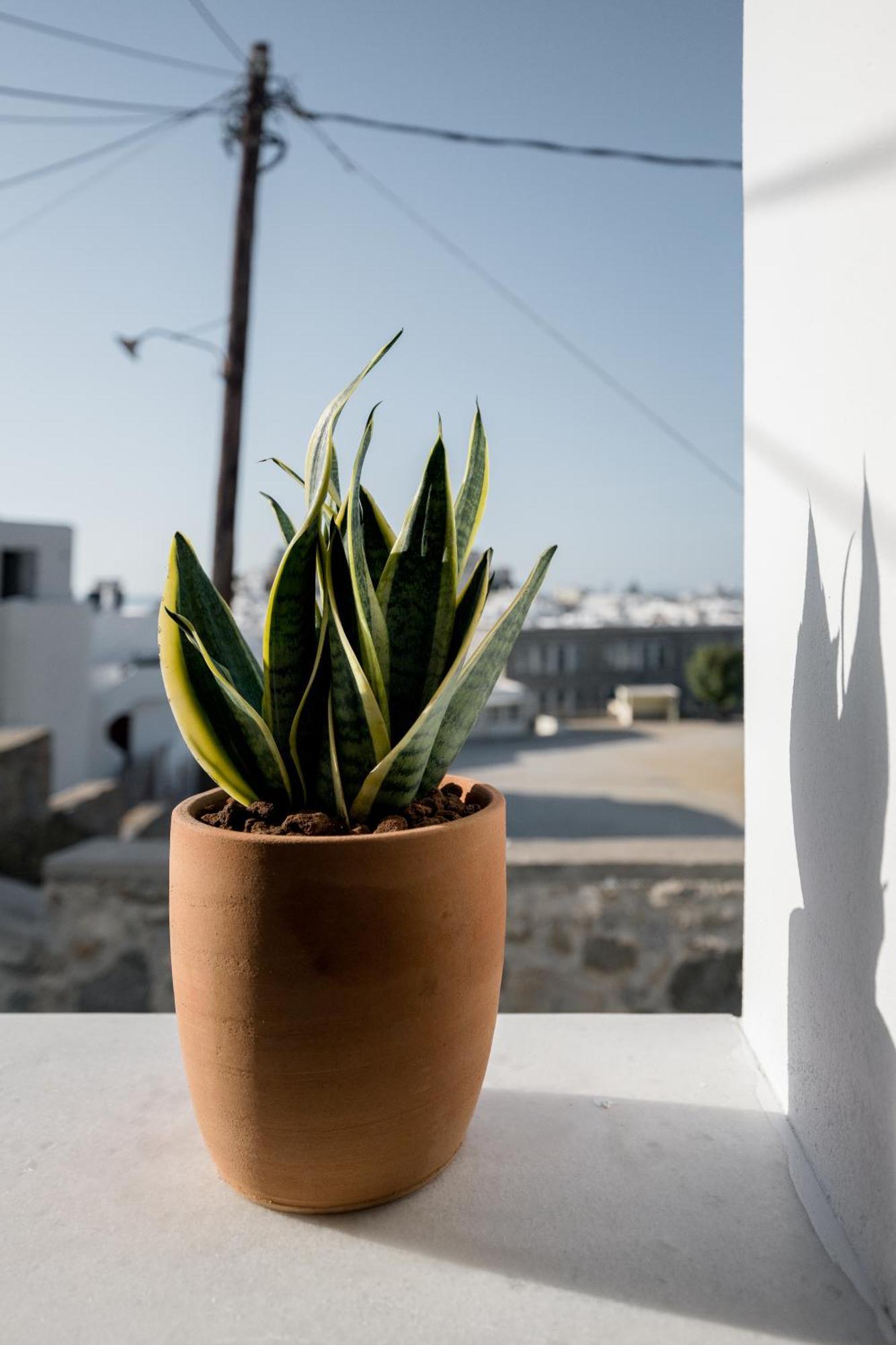 37 2 Heaven Apartment Naxos City Bagian luar foto